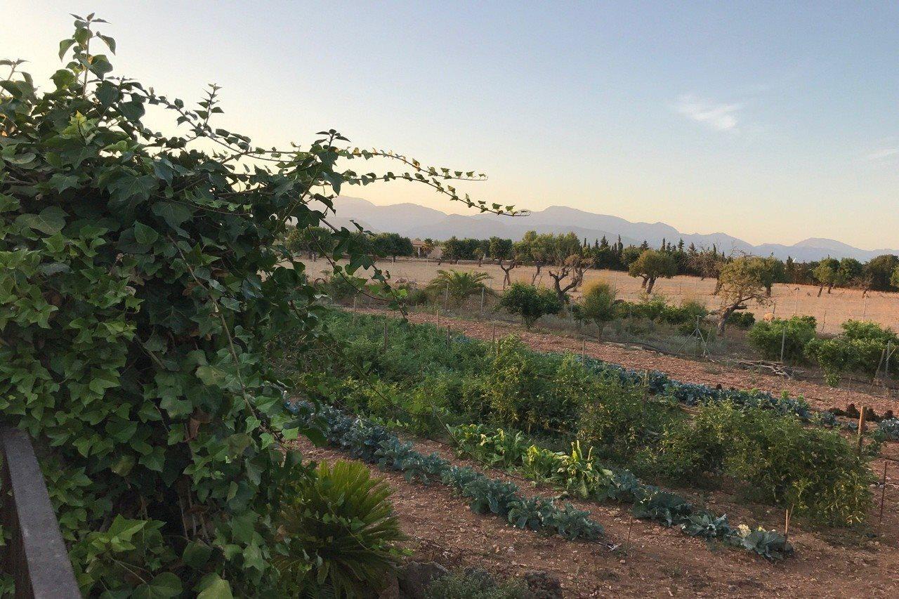 Agroturismo Es Quatre Cantons بينيسالم المظهر الخارجي الصورة